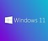 Microsoft  Windows 11 Pro FQC-10528 64 Bit İşletim Sistemi